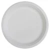 Vaisselle Compostable Plates 10 Po -Espace Mobilier Soldes 1065045 B