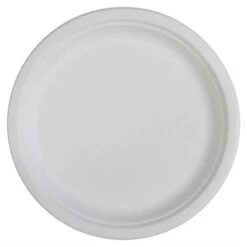 Vaisselle Compostable Plates 10 Po