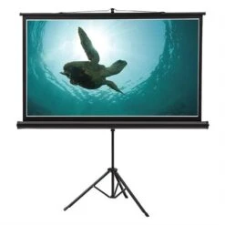 Écran De Projection Grand Format Mural 52 X 92"