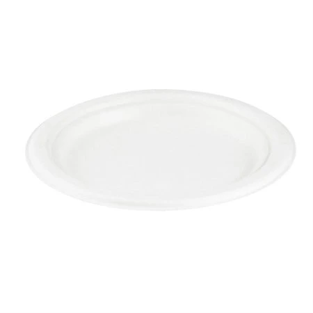 Assiettes Eco Guardian 10" 4 Assiettes Eco Guardian 10" – Image 2